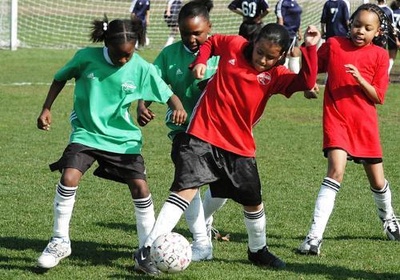 BEEHIVE SOCCER BEEHIVE SOCCER
