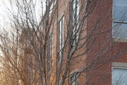 Unnamed photo