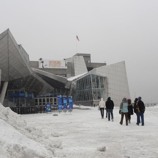 New England Aquarium