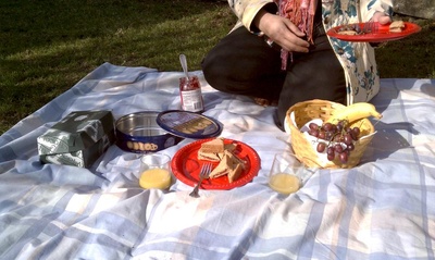 picnic picnic
