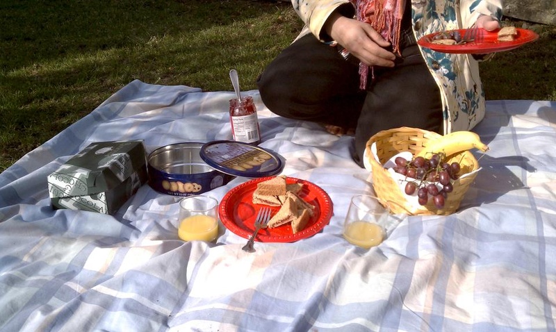 picnic picnic