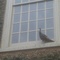 Turkeys