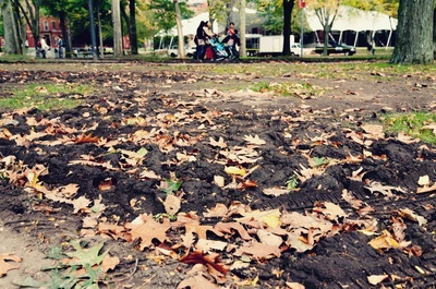 Aftermath of 375 Anniversary
