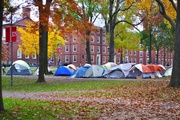 Occupy Harvard: The First Morning