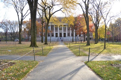 Widener Library Widener Library